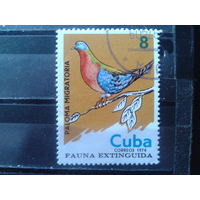 Куба 1974 Птица