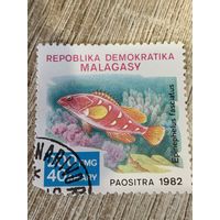Мадагаскар 1982. Рыбы. Epinephelus fasciitis. Марка из серии