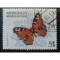 Монголия 1963 бабочка