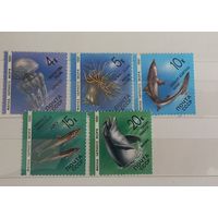 Фауна черного моря 1991 (СССР) 5 марок ПОЛНАЯ СЕРИЯ