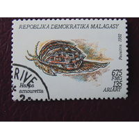 Мадагаскар 1992 г. Морская фауна.