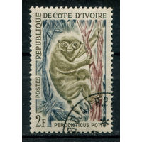 Кот д'Ивуар - 1964г. - обезьяна, 2 F - 1 марка - гашёная с клеем. Без МЦ!