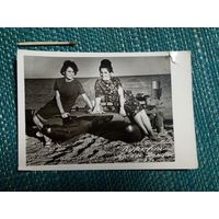 Фотография. Девушки на курорте. 1967 год. ( катамаран)