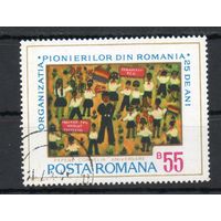 25 лет пионерской организации Румыния 1974 год серия из 1 марки
