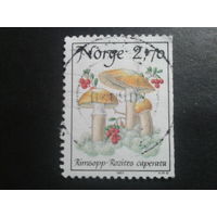 Норвегия 1987 грибы