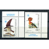 Югославия - 1985г. - Птицы. Европейская охрана природы - полная серия, MNH [Mi 2100-2101] - 2 марки