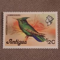 Антигуа 1976. Фауна. Птицы. Antillean Crested Hummingbird