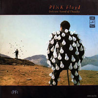 Pink Floyd, Delicate Sound Of Thunder, 2LP 1990