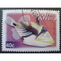 ЮАР 2000 рыба