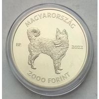Венгрия 2000 форинтов 2022 г. Муди венгерская пастушья собака