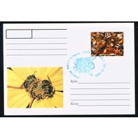 Почтовая карточка с оригинальной маркой и спецгашением Тува 1999 год Пчелы