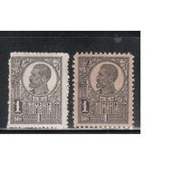 Румыния-1920, (Мих.251 х+У)  * , Стандарт, Король Карл I, 2 типа бумаги