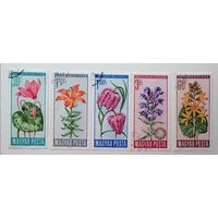 Венгрия 1966 / флора / цветы //5 марок из серии