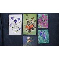 5 открыток "Цветы"