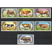 Быки и коровы Монголия 1985 год серия из 7 марок