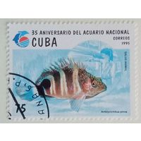 35лет кубинской аквариумистики.