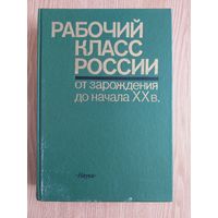 Рабочий класс России от зарождения до начала ХХ в.