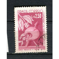 Бразилия - 1957 - 100 летие г. Рибейран-Прету - [Mi. 922y] - полная серия - 1 марка. Гашеная.  (Лот 48BZ)