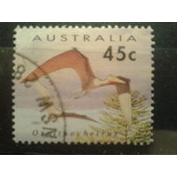 Австралия 1993 Птеродактиль