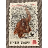 Индонезия 1989. Приматы. Марка из серии