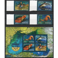 Морские животные Румыния 2007 год серия из 4-х марок и 1 блока