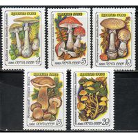 Ядовитые грибы СССР 1986 год (5724-5728) серия из 5 марок