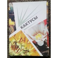 Набор открыток "Кактусы". СССР, 1990 год