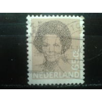 Нидерланды 1981 Королева Беатрис  65с
