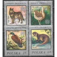 Польша. Исчезающие животные. 1977г. Mi#2504-07. Серия.