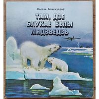 Васіль Благадараў. Там, дзе блукае белы мядзведзь: аповесць.