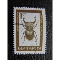 Болгария 1968 г. Насекомые. Жук-олень.