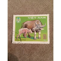 Вьетнам 1979. Домашний скот