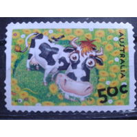Австралия 2005 Домашняя ферма, корова