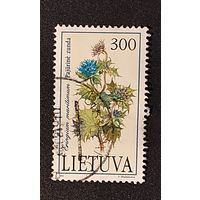Литва, 1м флора