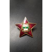 Знак, значёк афганская тема