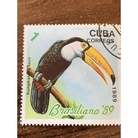 Куба 1989. Ramphastos toco. Марка из серии