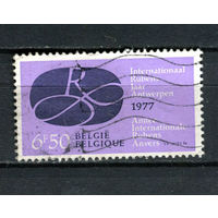Бельгия - 1977 - Год Рубенса - [Mi. 1890] - полная серия - 1 марка. Гашеная.  (LOT 4B)