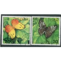 Куба. Фауна. Бабочки