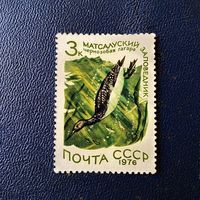 Марка СССР 1976 год Матсалукский заповедник