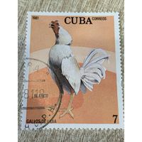Куба 1981. Домашняя птица. Петух порода Blanco. Марка из серии