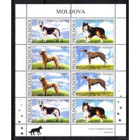 Молдова (Молдавия) 2006 Фауна Собаки Лист **