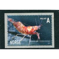 Норвегия. Фауна моря. Креветка