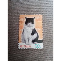 Австралия 2004. Домашние породы кошек