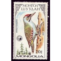 1 марка 1987 год Монголия Дятел 1851