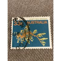 Австралия. Leafy Sea-Dragon. Марка из серии