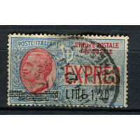 Королевство Италия - 1921 - Марка экспресс-почты - Надпечатка нового номинала 1,2L на 30C - [Mi. 136i] - полная серия - 1 марка. Гашеная.  (Лот 30AC)
