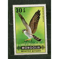 Хищные птицы. Ястреб. Монголия. 1970. Чистая