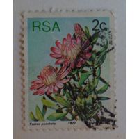 ЮАР.1977.флора