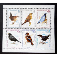 Марки Болгария 1987. Певчие птицы. Полная серия из 6 марок. Малый лист.