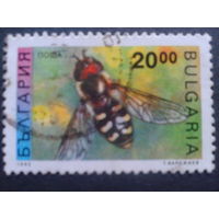 Болгария 1992 насекомое